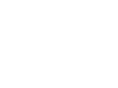 Jaguar spoorstang