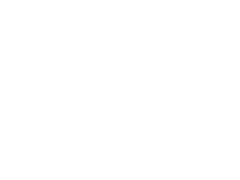 Tesla spoorstang