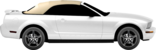 Ford USA Mustang 4.6 V8
