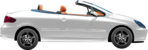 Peugeot 307 2.0 16V