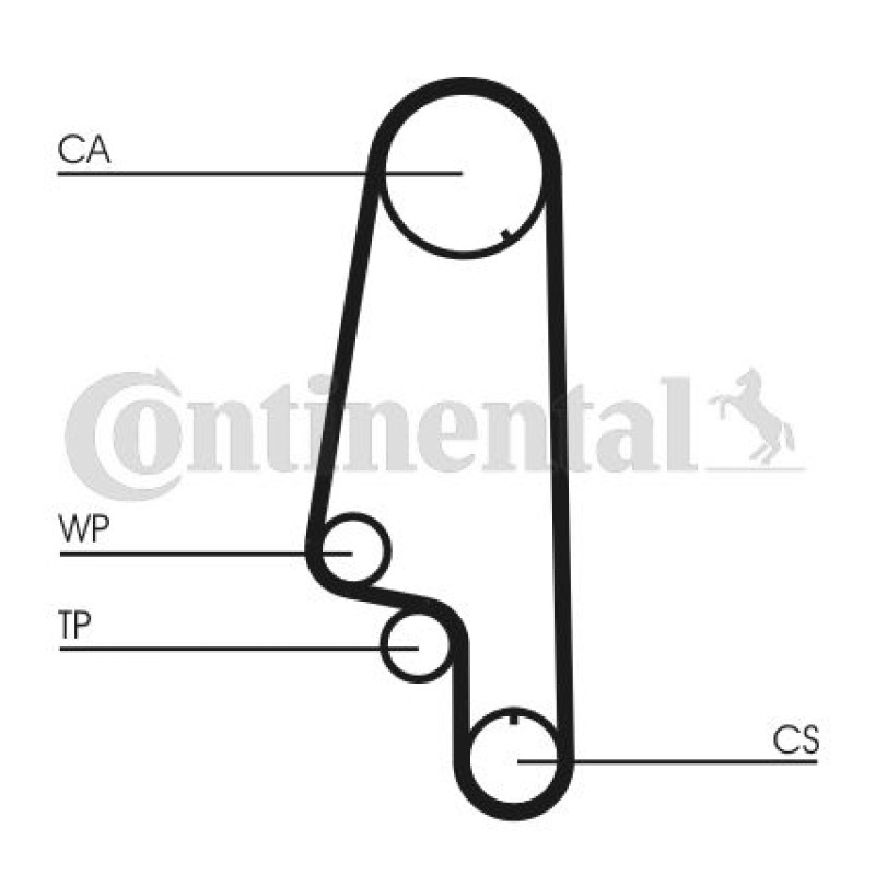 Waterpomp + distributieriem set