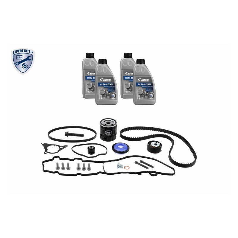 Distributieriemset